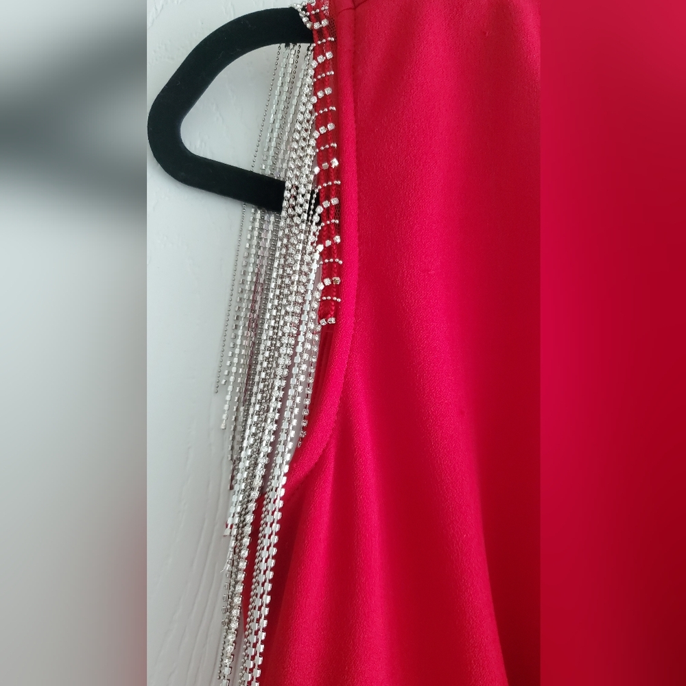 Fringed Dress - Picture 3 of 6